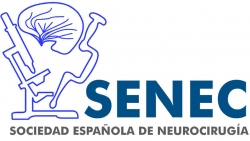 SENEC (Sociedad Espa&ntilde;ola de Neurocirug&iacute;a)